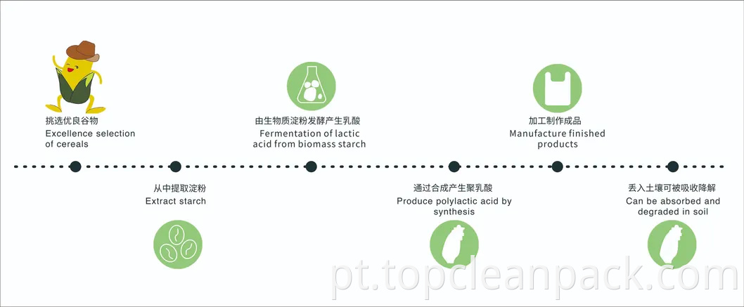 Bolsa de plástico de Bolsa de Bolsa de Correio personalizada